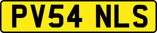 PV54NLS