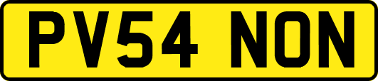 PV54NON