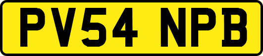 PV54NPB