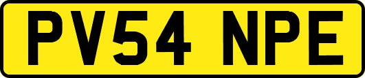 PV54NPE
