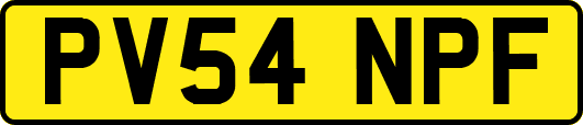 PV54NPF