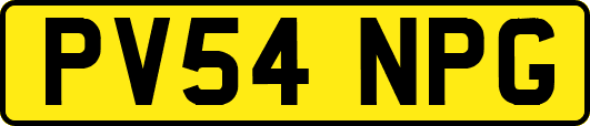 PV54NPG