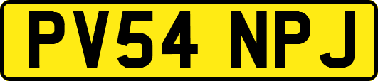 PV54NPJ