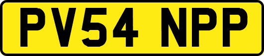 PV54NPP
