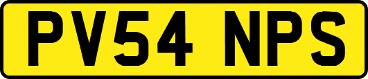 PV54NPS