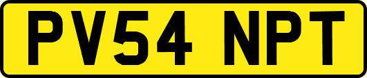 PV54NPT