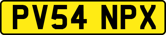 PV54NPX