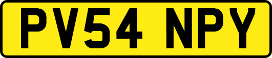 PV54NPY