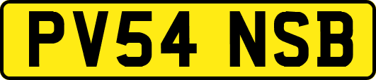 PV54NSB