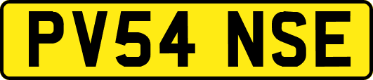 PV54NSE