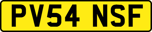 PV54NSF