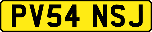 PV54NSJ