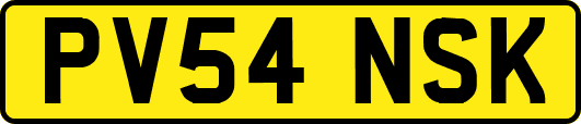 PV54NSK