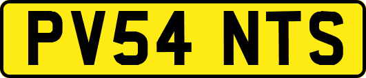 PV54NTS
