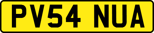 PV54NUA