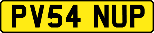 PV54NUP