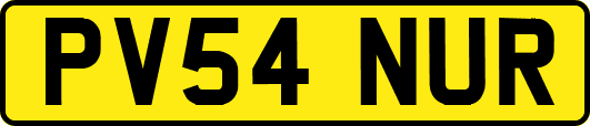 PV54NUR