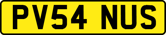 PV54NUS