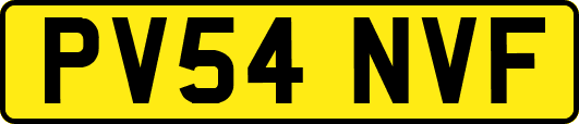 PV54NVF