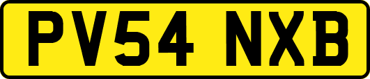 PV54NXB