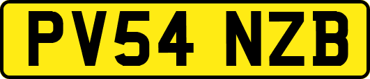 PV54NZB