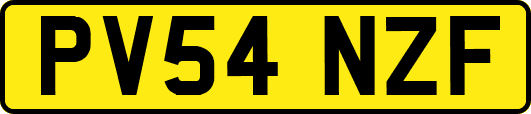 PV54NZF
