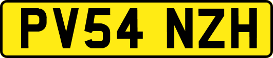 PV54NZH