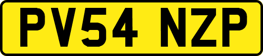 PV54NZP