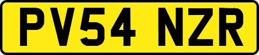 PV54NZR