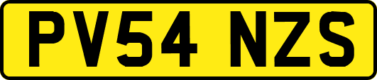 PV54NZS