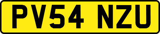 PV54NZU