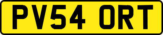 PV54ORT
