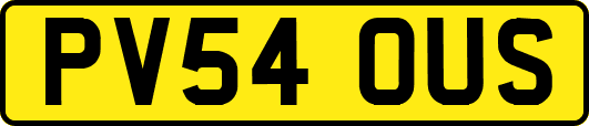 PV54OUS