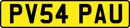 PV54PAU