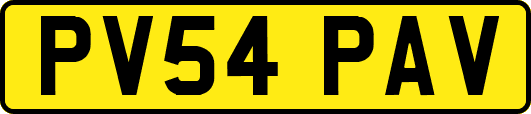 PV54PAV
