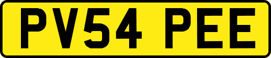 PV54PEE