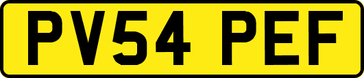 PV54PEF