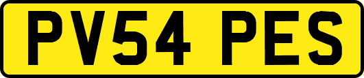 PV54PES