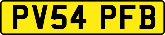 PV54PFB