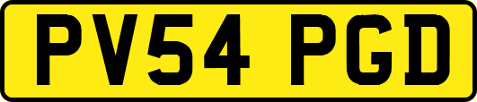 PV54PGD
