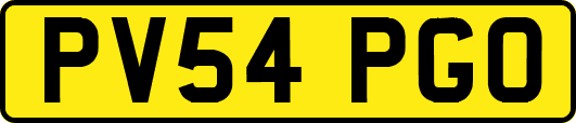PV54PGO
