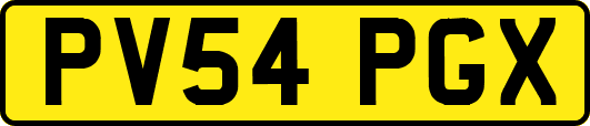 PV54PGX