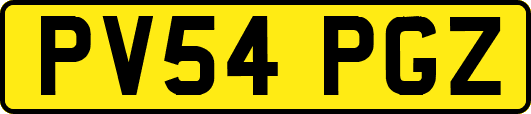 PV54PGZ