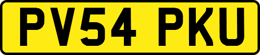 PV54PKU