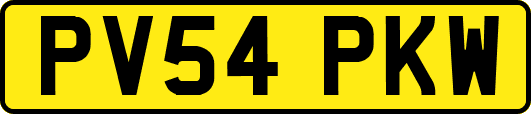 PV54PKW