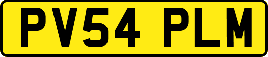 PV54PLM