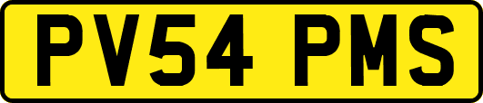 PV54PMS