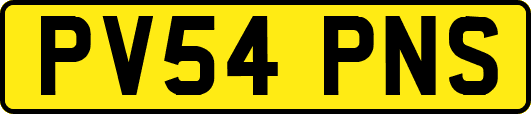 PV54PNS