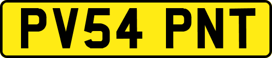 PV54PNT