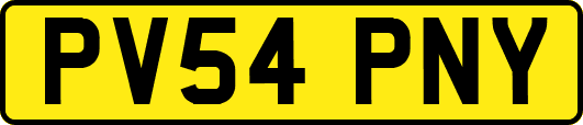PV54PNY